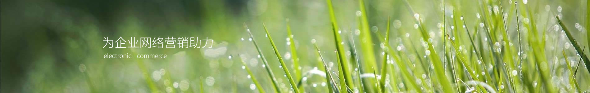 ݸоľܵ޹˾